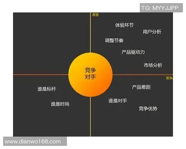 天价转播权引发媒体平台竞争与合作新格局的深度探讨与分析